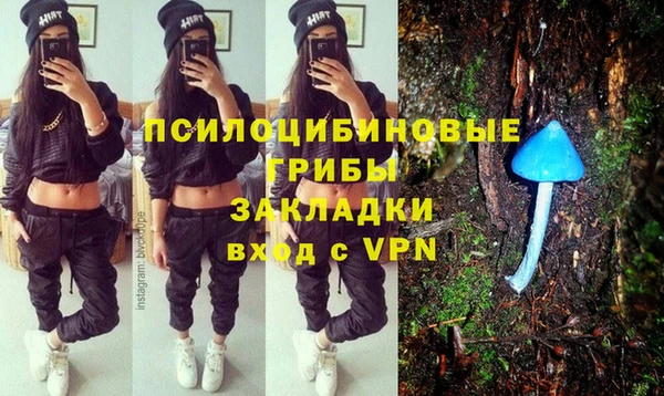 дурь Алзамай