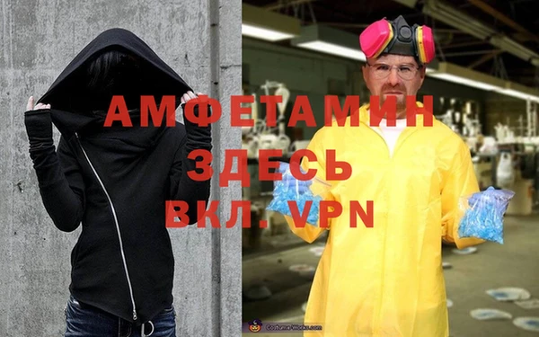 индика Абаза