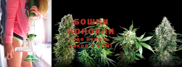 спайс Мегион