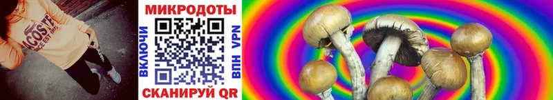 где найти   Троицк  mega зеркало  Псилоцибиновые грибы GOLDEN TEACHER 